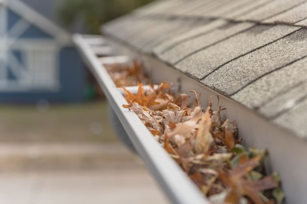 Leaf Barrier Installation in Murfreesboro